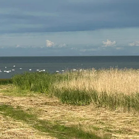 Angervaksa Loodusspa Dom wakacyjny Laugu