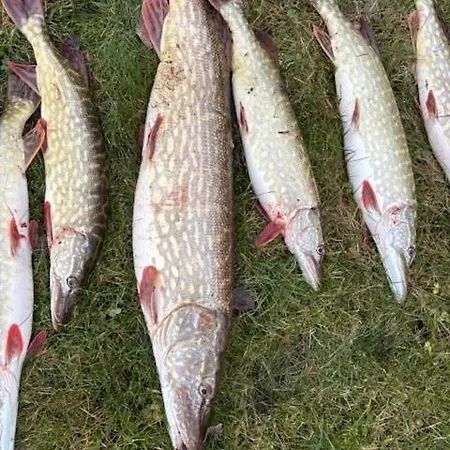 بيت للعطل Angervaksa Loodusspa *