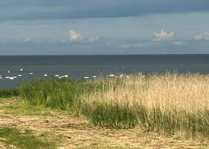 Angervaksa Loodusspa بيت للعطل Laugu