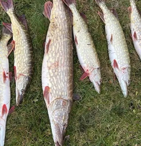 بيت للعطل Angervaksa Loodusspa *